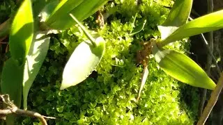 Capturing Beautiful Images of Nature