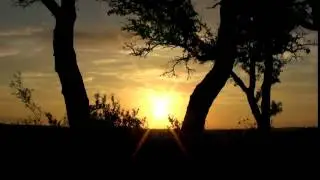 Kree Harrison ~ See you again ~ Lyrics