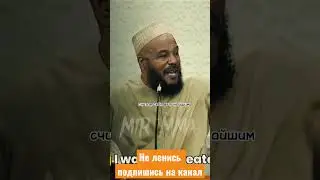 Аллах остепенил меня! «Мухаммед Али осознал всё» 