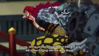 The Supernovas Ready To Fight Kaido And Bigmom | One Piece