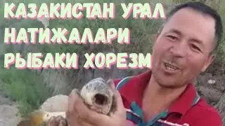 урал казакистан атров натижалари авжида тез куринг