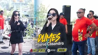 Intania Casandra - DUMES || ONE PRO (Live Petik Laut Pancer 2023 )