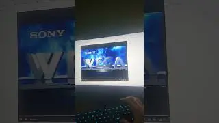 WEGA has BSOD