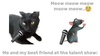 o gato pedindo desculpa para pegar o rato e o Rato pedindo desculpa para pegar comida escondido