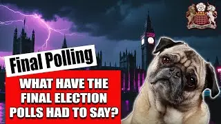 What Does Final Election Polling Have to Say?