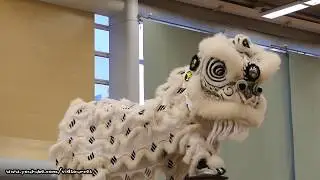 Hong Kong Open Championship 2017 - Chinese Lion Dance (Team 7 柔功門夏敬文龍獅團)