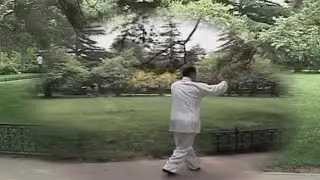 Цзашичуй