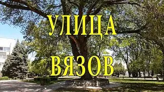 Улица Вязов в Керчи хранит свои страшные тайны