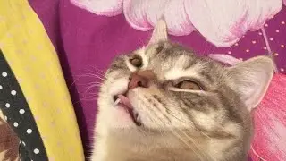 Когда устал от работы