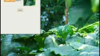 PyShare - take screenshot of part of the screen