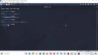 Comandos basicos de kali linux: parte 2