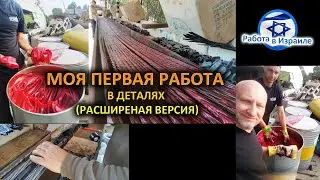 Работа в ИЗРАИЛЕ - моя ПЕРВАЯ работа в деталях (расширенная версия)
