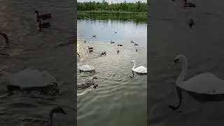 Доброе утро 🌞 Хәерле иртә