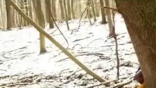 Shortcut Part 3