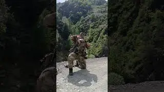 #гири