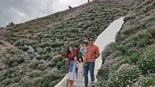 金马仑亲子游- Flora Park's Vlog