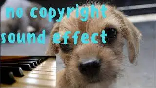 REVERSE SOUND EFFECT(no copyright)