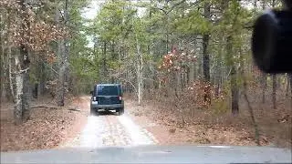 Jeep in the forest - view from behind )))