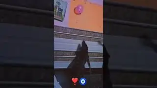 tu hi bohot h🐾🐕 #dogshorts #rottweiler #rottweilerdog #doglovers #shortindia #viraldog #viralvideo