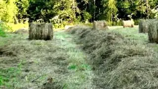 МТЗ тюкование сена! Домашнее видео