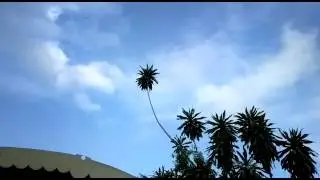 Nokia Pureview 808 Maximum Zoom