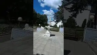 Красивый вид и хорошее настроение 🐱☀️