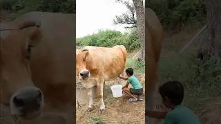 Garib ki Madad 😍 Mother and son emotional video 