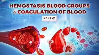 Hemostasis | Blood grouping | Blood coagulation cascade MCQs | Coagulation of blood