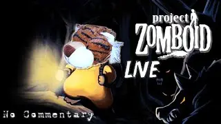 Taking Over The Neiborhood In Project Zomboid