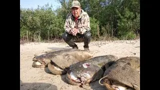 СОМЫ СОШЛИ С УМА!!! Рыбалка на поплавочную удочку.