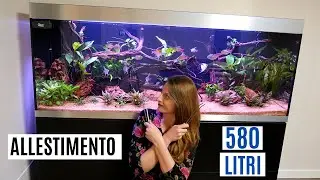 ALLESTIMENTO COMPLETO Highline600 OASE 💦 Acquario da 580 litri!