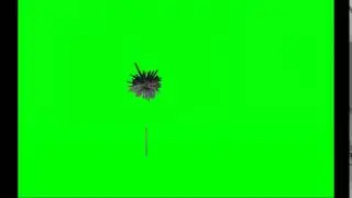 Roblox Green Screen Test