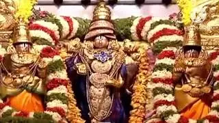 వెంకటేశ్వర స్వామి వారిని మొదటి గడప నుంచి చూడడానికి ఉన్న మార్గాలు#Anu TTD darshan#shorts#shortvideo