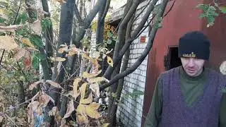 Заработок на ГАРАЖНЫХ СВАЛКАХ