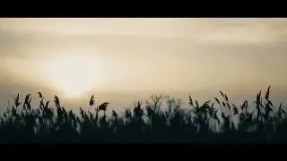 Рыбалка на реке Маныч
