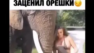 Я РЖАЛ ДО СЛЁЗ 🤣 11 МИНУТ ЛУЧШИХ ПРИКОЛОВ