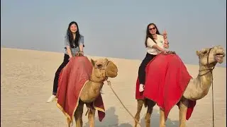My Adventurous Camel Ride for 2024 #amazing #shortvideos #fun