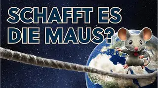 Seil um den Äquator - Rätsel | Schafft es die Maus?