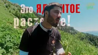 Смотри 2 сезон тревел-шоу ЧЕК-ТУР!!!