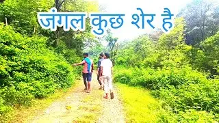Jangal me sher aa gaya 😾😾😾😾😾