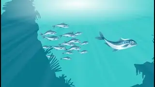 Appuski Duski Apuski doo