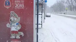 1 АПРЕЛЯ 2018г. Весенняя зима.(35) Волк ЗАБИВАКА. Мои городские путешествия