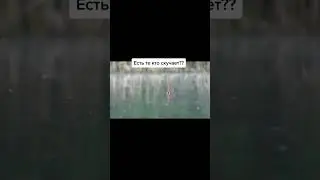 Рыбалка на Поплавок 14 #shorts Рыбак Подпишется!😍