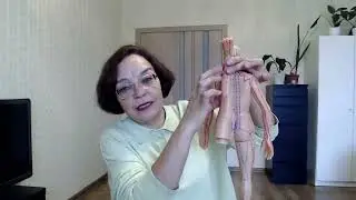 Лечим почки 2 занятие из 3.