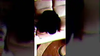 анонимус снюсоед арабского происхождения/ снюсоед сидит на диване и ест яблоки