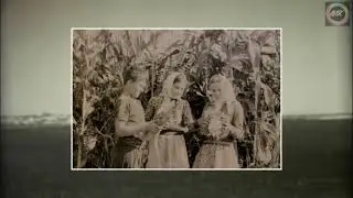 Посвящается одноклассникам и друзьям юности