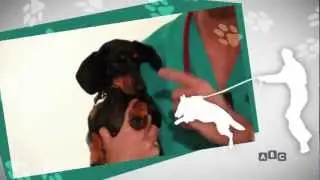 ABC - "CHE RAZZA DI AMICO" - Prima visita veterinaria