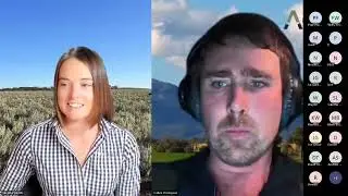 Productivity & Profitability webinar series - Growing beef from dairy