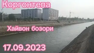 Андижон вилояти Коргонтепа хайвон бозори Факат сотилганлари 17.09.2023