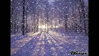 Стих Зимний роман.
